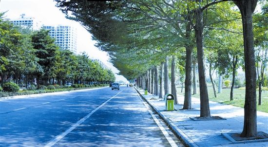 崖州灣科技城研學(xué)大道A段道路工程項目EPC、監(jiān)理