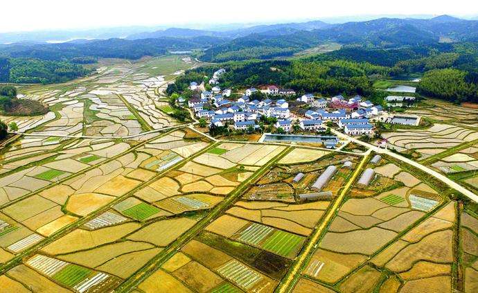 西安市臨潼區(qū)農(nóng)村“房地一體”宅基地和集體建設(shè)用地不動產(chǎn)權(quán)籍調(diào)查牽頭服務(wù)采購項目、地權(quán)籍調(diào)查服務(wù)采購項目
